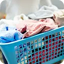 Bed Bug Laundry Services